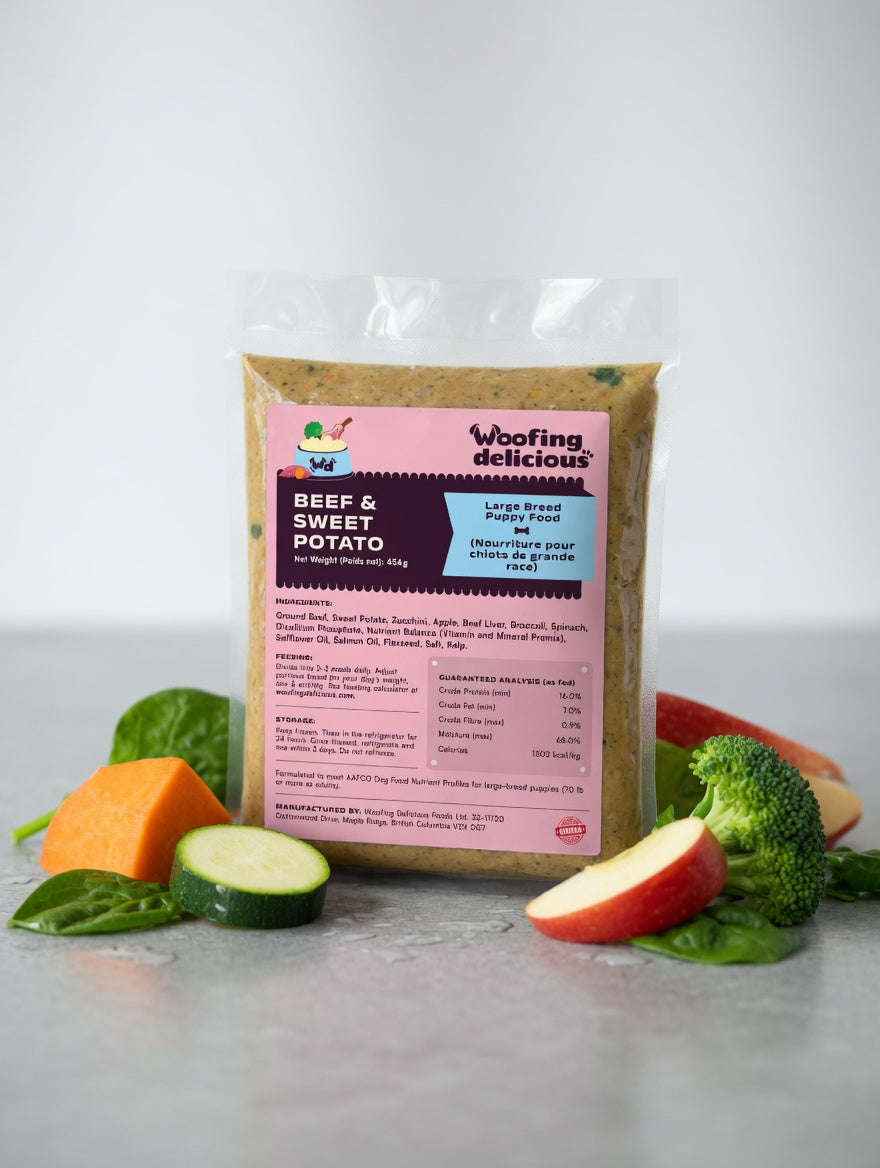 Beef And Sweet Potato - Large Breed Puppy Food